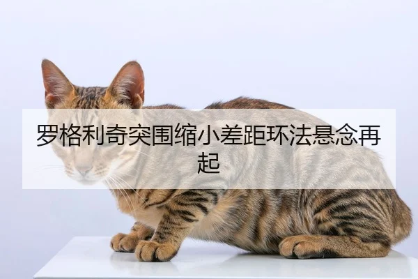 luo-ge-li-qi-tu-wei-suo-xiao-cha-ju-huan-fa-xuan-nian-zai-qi-2-793.jpg